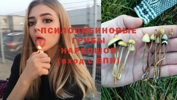 амфетамин Алексеевка