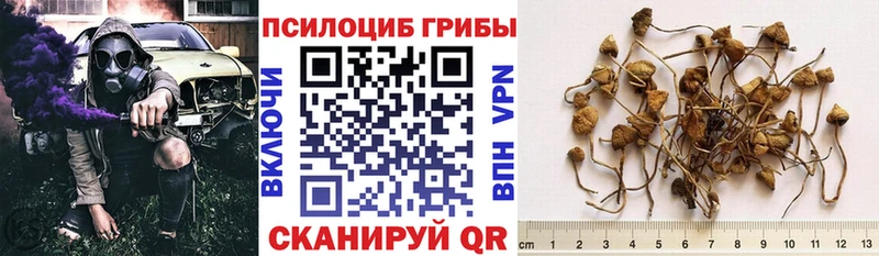 Псилоцибиновые грибы ЛСД  сайты даркнета как зайти  Неман 